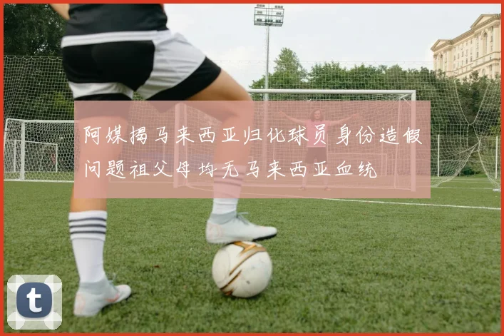 阿媒揭马来西亚归化球员身份造假问题祖父母均无马来西亚血统