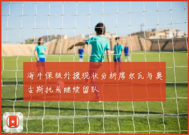 海牛保级外援现状分析席尔瓦与奥古斯托或继续留队