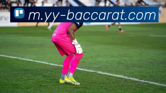 百家乐网站平台生态图